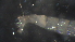  ( - 4J10)  @12 [ ] Copyright (2012) Jeffrey Ram Wayne State University School of Medicine