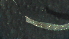  ( - 4V21)  @12 [ ] Copyright (2012) Jeffrey Ram Wayne State University School of Medicine
