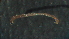  ( - 4V22)  @12 [ ] Copyright (2012) Jeffrey Ram Wayne State University School of Medicine