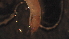  ( - 4W10)  @12 [ ] Copyright (2012) Jeffrey Ram Wayne State University School of Medicine