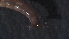  ( - 4X17)  @12 [ ] Copyright (2012) Jeffrey Ram Wayne State University School of Medicine
