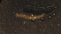  ( - 4Y28)  @12 [ ] Copyright (2012) Jeffrey Ram Wayne State University School of Medicine