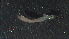  ( - 4Z13)  @12 [ ] Copyright (2012) Jeffrey Ram Wayne State University School of Medicine