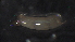  ( - 5-2G7)  @12 [ ] Copyright (2012) Jeffrey Ram Wayne State University School of Medicine