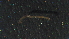  ( - 5D22)  @12 [ ] Copyright (2012) Jeffrey Ram Wayne State University School of Medicine