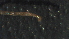  ( - 5D22)  @12 [ ] Copyright (2012) Jeffrey Ram Wayne State University School of Medicine
