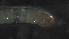 ( - 5RC13)  @12 [ ] Copyright (2012) Jeffrey Ram Wayne State University School of Medicine