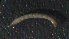 ( - 5RC14)  @12 [ ] Copyright (2012) Jeffrey Ram Wayne State University School of Medicine
