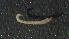  ( - 5RD19)  @12 [ ] Copyright (2012) Jeffrey Ram Wayne State University School of Medicine