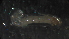  ( - 5W18)  @12 [ ] Copyright (2012) Jeffrey Ram Wayne State University School of Medicine