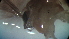  (Chironomus decorus gr - 130-TH)  @12 [ ] Copyright (2014) Jeffrey Ram Wayne State School of Medicine