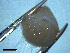  ( - BT_IS10)  @11 [ ] CreativeCommons - Attribution Share-Alike (2021) Unspecified Universidade do Porto