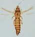 ( - THKER)  @11 [ ] COPYRIGHT (2025) SAFNA M AND BERIN PATHROSE KERALA AGRICULTURAL UNIVERSITY