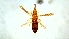  ( - THRKL9)  @11 [ ] COPYRIGHT (2023) AMAL POULOSE KERALA AGRICULTURAL UNIVERSITY