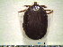  ( - GPR11-507)  @13 [ ] CreativeCommons - Attribution Non-Commercial (2012) Celestino Aguilar Smithsonian Tropical Research Institute