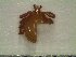  ( - GRP13-1279)  @13 [ ] CreativeCommons - Attribution Non-Commercial (2012) Celestino Aguilar Smithsonian Tropical Research Institute