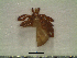  ( - GRP13-1279)  @12 [ ] CreativeCommons - Attribution Non-Commercial (2012) Celestino Aguilar Smithsonian Tropical Research Institute