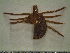  ( - GRP8-342)  @13 [ ] CreativeCommons - Attribution Non-Commercial (2012) Celestino Aguilar Smithsonian Tropical Research Institute