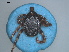  ( - TIC11)  @11 [ ] CreativeCommons - Attribution Share-Alike (2023) SANBI South African National Biodiversity Institute, National Zoological Gardens (NZG)