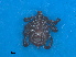  ( - FEL_28aT)  @11 [ ] CreativeCommons  Attribution Non _Commercial Share _Alike (2020) SANBI SANBI