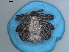  ( - TIC 28)  @11 [ ] CreativeCommons - Attribution Share-Alike (2023) SANBI South African National Biodiversity Institute, National Zoological Gardens (NZG)