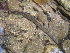  ( - MFPU01)  @12 [ ] CreativeCommons - Attribution Non-Commercial Share-Alike (2012) Unspecified Universiti Sains Malaysia