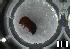  ( - 144561922)  @12 [ ] CreativeCommons  Attribution Non-Commercial Share-Alike (2017) SCDBC SCDBC