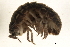  ( - 09BBIUS-0034)  @13 [ ] CreativeCommons - Attribution (2010) Unspecified Centre for Biodiversity Genomics