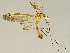  ( - CMNH257756)  @11 [ ] CreativeCommons - Attribution Non-Commercial No Derivatives (2011) Chen Young Carnegie Museum