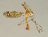  ( - CMNH299132)  @11 [ ] CreativeCommons - Attribution Non-Commercial No Derivatives (2011) Chen Young Carnegie Museum