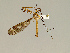  ( - CMNH299806)  @13 [ ] CreativeCommons - Attribution Non-Commercial No Derivatives (2011) Chen Young Carnegie Museum