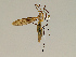  ( - CMNH352886)  @13 [ ] CreativeCommons - Attribution Non-Commercial No Derivatives (2011) Chen Young Carnegie Museum