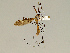  ( - CMNH352995)  @13 [ ] CreativeCommons - Attribution Non-Commercial No Derivatives (2011) Chen Young Carnegie Museum