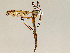  ( - CMNH353023)  @13 [ ] CreativeCommons - Attribution Non-Commercial No Derivatives (2011) Chen Young Carnegie Museum