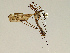  ( - CMNH356548)  @13 [ ] CreativeCommons - Attribution Non-Commercial No Derivatives (2011) Chen Young Carnegie Museum