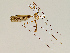  ( - CMNH358155)  @13 [ ] CreativeCommons - Attribution Non-Commercial No Derivatives (2011) Chen Young Carnegie Museum