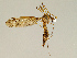  ( - CMNH43240)  @11 [ ] CreativeCommons - Attribution Non-Commercial No Derivatives (2011) Chen Young Carnegie Museum