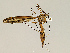  ( - CMNH446799)  @11 [ ] CreativeCommons - Attribution Non-Commercial No Derivatives (2011) Chen Young Carnegie Museum