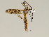  ( - CMNH8276)  @13 [ ] CreativeCommons - Attribution Non-Commercial No Derivatives (2011) Chen Young Carnegie Museum