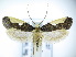  ( - TJ0070)  @15 [ ] CreativeCommons - Attribution Non-Commercial Share-Alike (2015) Tomasz Jaworski private