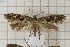  ( - clv111)  @14 [ ] Copyright (2008) Ian Sims Unspecified