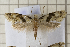  ( - clv114)  @15 [ ] Copyright (2008) Ian Sims Unspecified