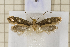 ( - clv123)  @14 [ ] Copyright (2008) Ian Sims Unspecified