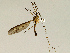  ( - CMNH543685)  @13 [ ] CreativeCommons - Attribution Non-Commercial Share-Alike (2010) Unspecified Carnegie Museum of Natural History