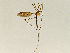  ( - CMNH543697)  @13 [ ] CreativeCommons - Attribution Non-Commercial Share-Alike (2010) Unspecified Carnegie Museum of Natural History