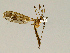  ( - CMNH544094)  @13 [ ] CreativeCommons - Attribution Non-Commercial No Derivatives (2010) Chen Young Carnegie Museum