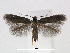  ( - RMNH.INS.24713)  @14 [ ] CreativeCommons - Attribution Non-Commercial Share-Alike (2015) Unspecified Naturalis Biodiversity Centre