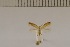  ( - DLW20003)  @11 [ ] Unspecified (default): All Rights Reserved  Unspecified Unspecified