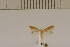  ( - DLW20012)  @12 [ ] Unspecified (default): All Rights Reserved  Unspecified Unspecified