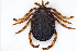  ( - NMNH-2023-034-F04)  @11 [ ] CreativeCommons - Attribution Non-Commercial Share-Alike (2023) Electra Chadd Smithsonian Institution National Museum of Natural History